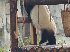 -泉州海丝野生动物世界