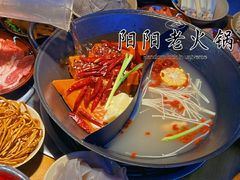 -阳阳老火锅(小南门店)