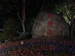 -野狸岛