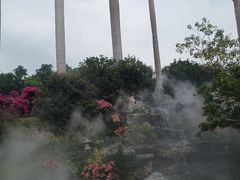 -莲花山公园
