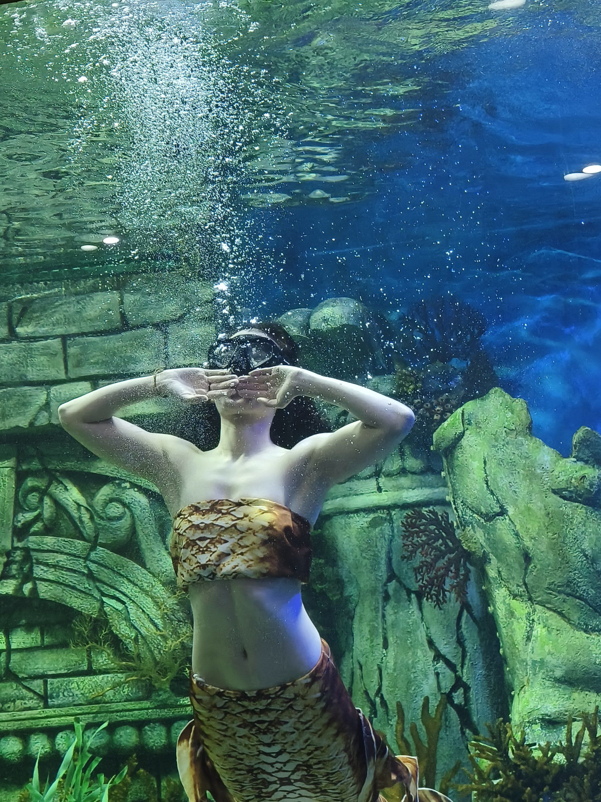 西安❗免费❗美人鱼表演