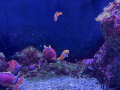 -成都浩海立方海洋公园