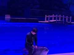 -华夏文旅海洋公园