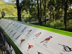 -西湖风景区-江洋畈生态公园