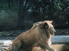 -成都动物园
