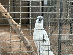 -石家庄市动物园