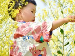 -西青郊野公园