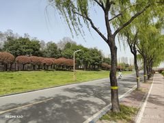 -洨河生态公园