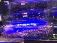 -喜碧海鲜·二十年本土海鲜老字号(上排店)