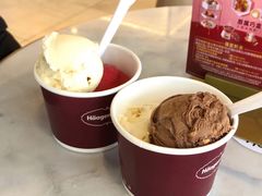 比利时巧克力品脱冰淇淋-哈根达斯(赛特奥莱店)