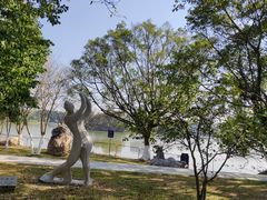 -番禺大夫山森林公园