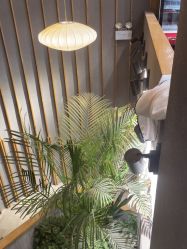 点击看大图 -阿莲新妆护肤造型