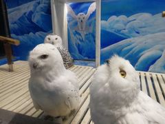 -成都浩海立方海洋公园