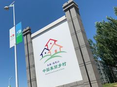 -莲花山花海