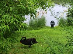 -三岔湖环球融创天堂洲际酒店水乐园