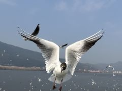 -海埂大坝