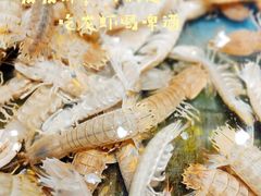 皮皮活虾-肥仔文澳门猪骨煲(南京西路店)