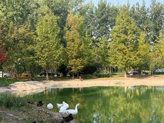 -中家鑫园温泉酒店鑫悦汤泉