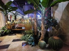 -回头烧烤(悦荟购物中心店)