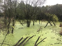 -西湖风景区-江洋畈生态公园