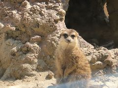 -宁波野生动物园