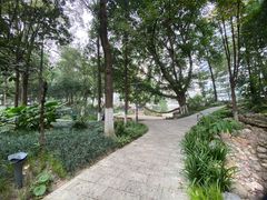 -成都市活水公园