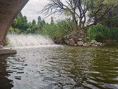 -大理洱源西湖景区