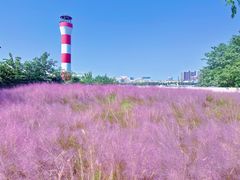 -上海山野camping·户外天幕烧烤·团建拓展营地