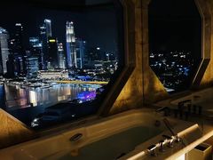 -新加坡丽思卡尔顿美年酒店