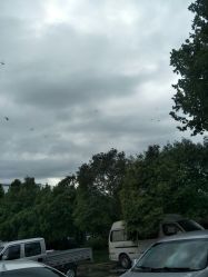 -莱可美科技美肤