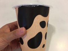 -瑞穗牧场