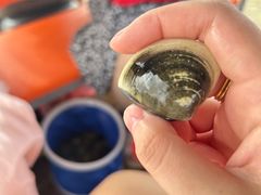 -红树林天天赶海