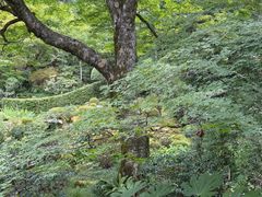 -三千院