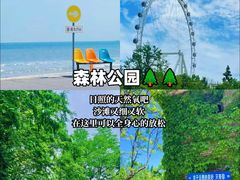 -日照灯塔风景区