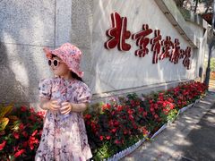 -北京市宏庙小学