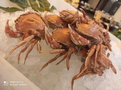 -大唐西市酒店-丝路阳光西餐厅