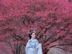 -龙寺生态园