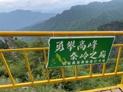 -朱雀国家森林公园