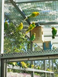 -萌宠亲子动物乐园(槐房万达店)