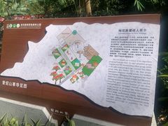 -西双版纳原始森林公园