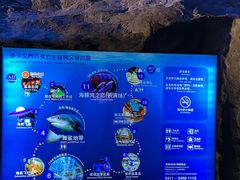 -大连圣亚海洋世界