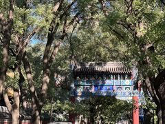-北京国子监胡同
