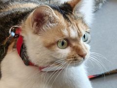 -Again Coffee Roaster(香蜜湖店)