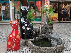 -猫咪博物馆(顶澳仔猫街店)