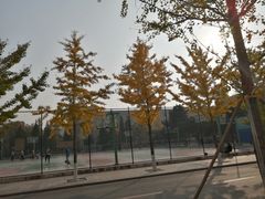 -东北大学(南湖校区)