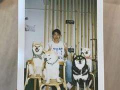 -柴迷FANS CLUB·柴犬狗咖·猫咖