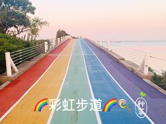 -贡湖湾湿地公园