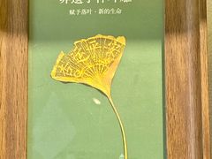 -深圳湾万象城(南山店)