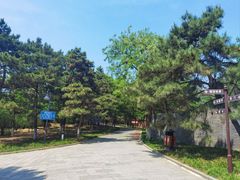 -云岗森林公园
