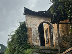-杨家堂村